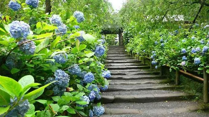 Guest House 鎌倉記憶 Kamakura Homestay